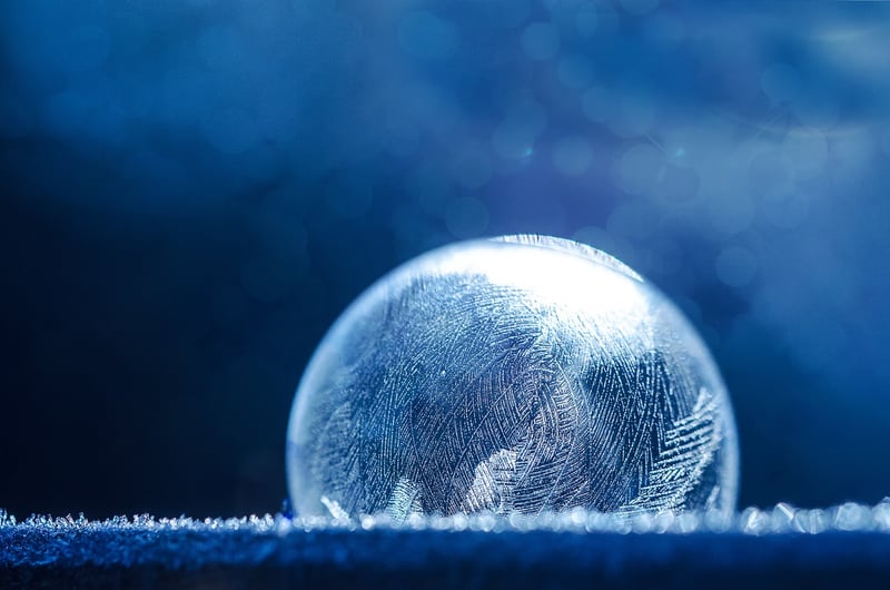 Frozen Delicacies