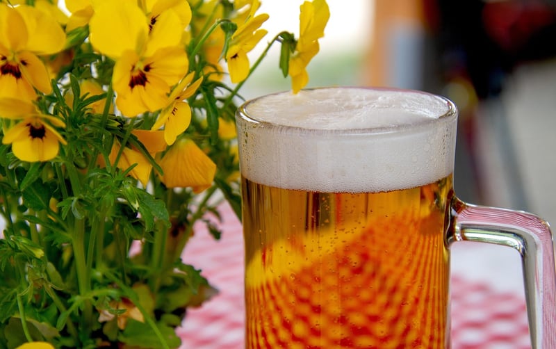 Craft Beer Tasting